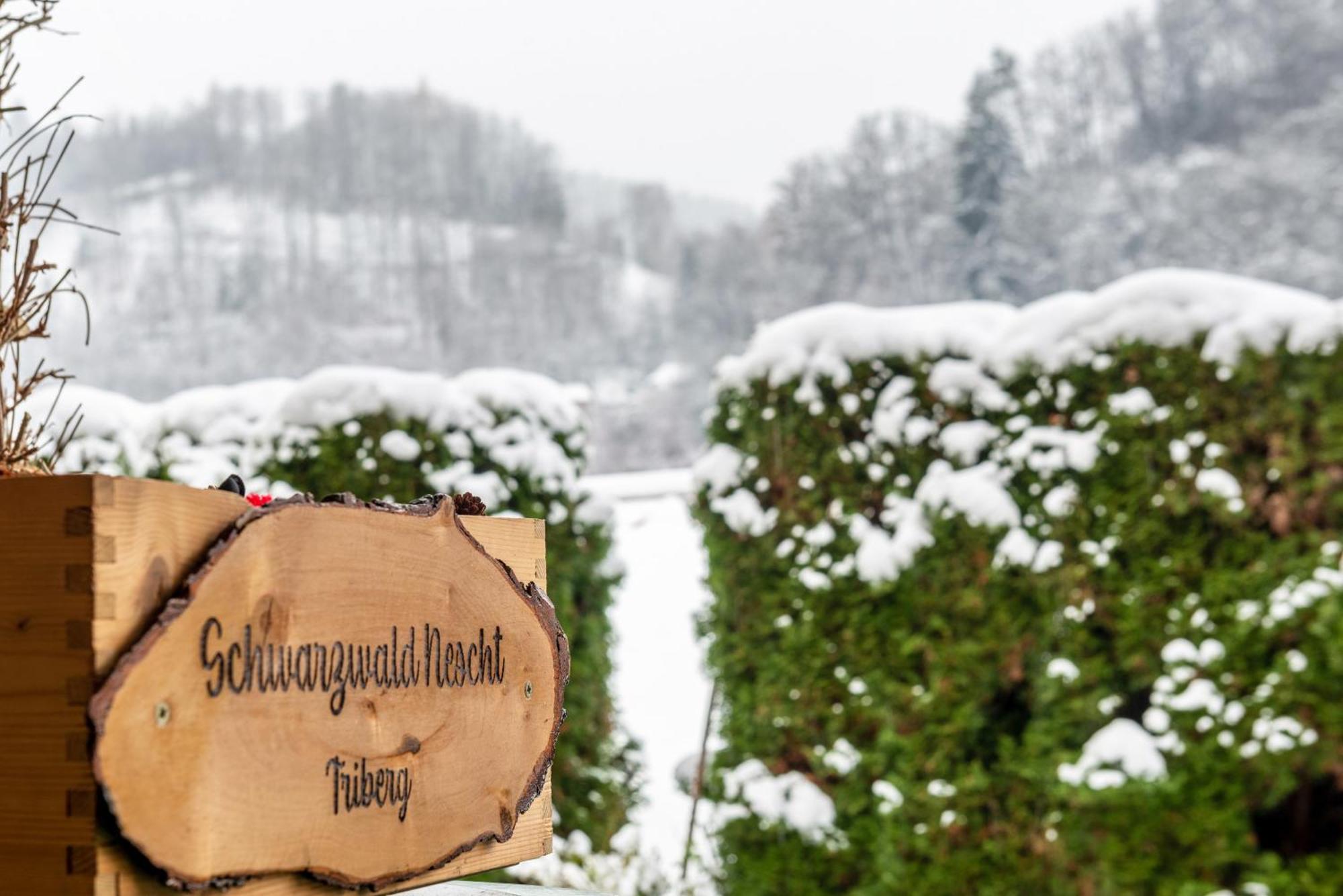 Apartament Schwarzwald Nescht Triberg Triberg im Schwarzwald Zewnętrze zdjęcie